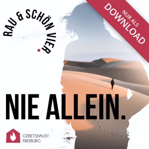 Rau & Schön 4 - Nie Allein - MP3 HD Download