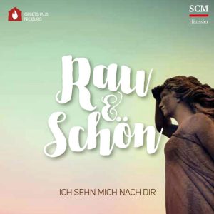 Rau & Schön 2 - Ich sehn mich nach dir - CD
